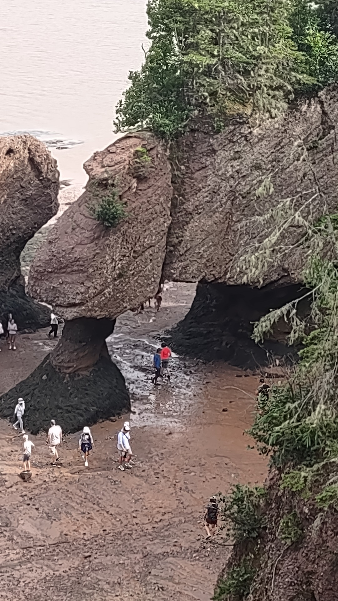 Hopewell's Lovers Rock at Low Tide
