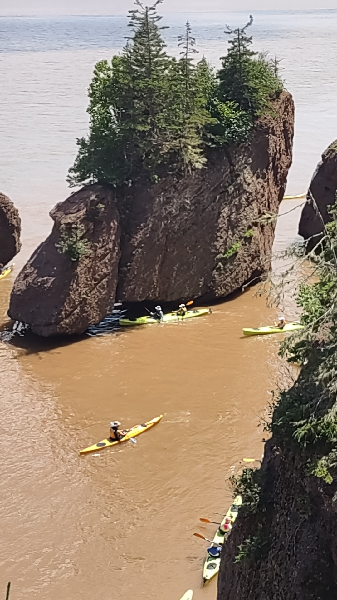 Flooded Hopewell Rocks