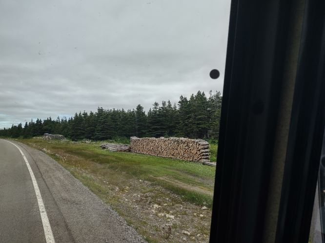 pile of wood along the road